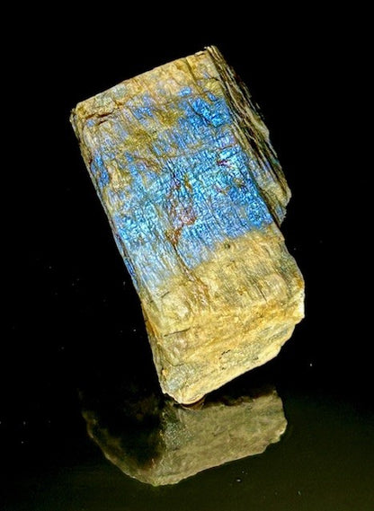 The Moonstone Gardens' Conversation Pieces - Large Individual Stones