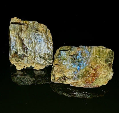 The Moonstone Gardens' Travel Companion - Pocket Pairs