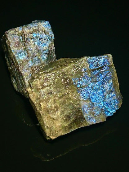 The Moonstone Gardens' Travel Companion - Pocket Pairs