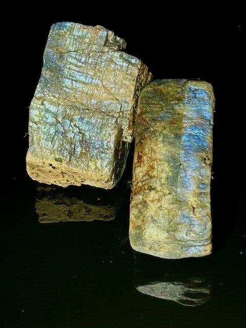 The Moonstone Gardens' Travel Companion - Pocket Pairs