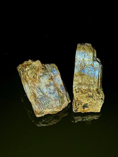 The Moonstone Gardens' Travel Companion - Pocket Pairs