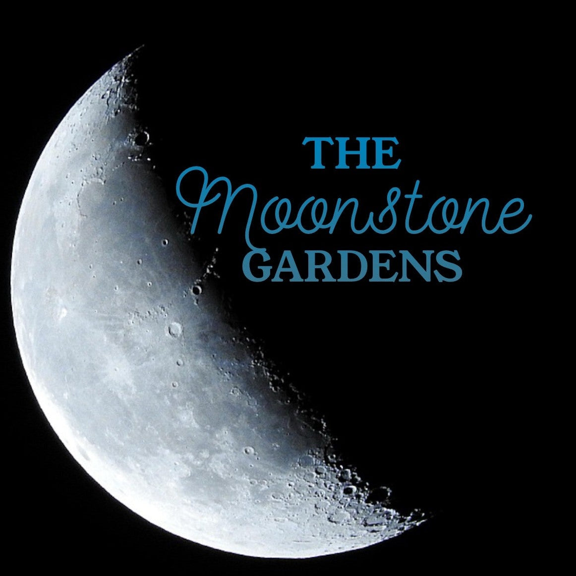 Moonstone Garden Gift Cards